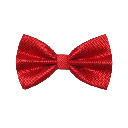 Formal Big Bow Tie For Dad